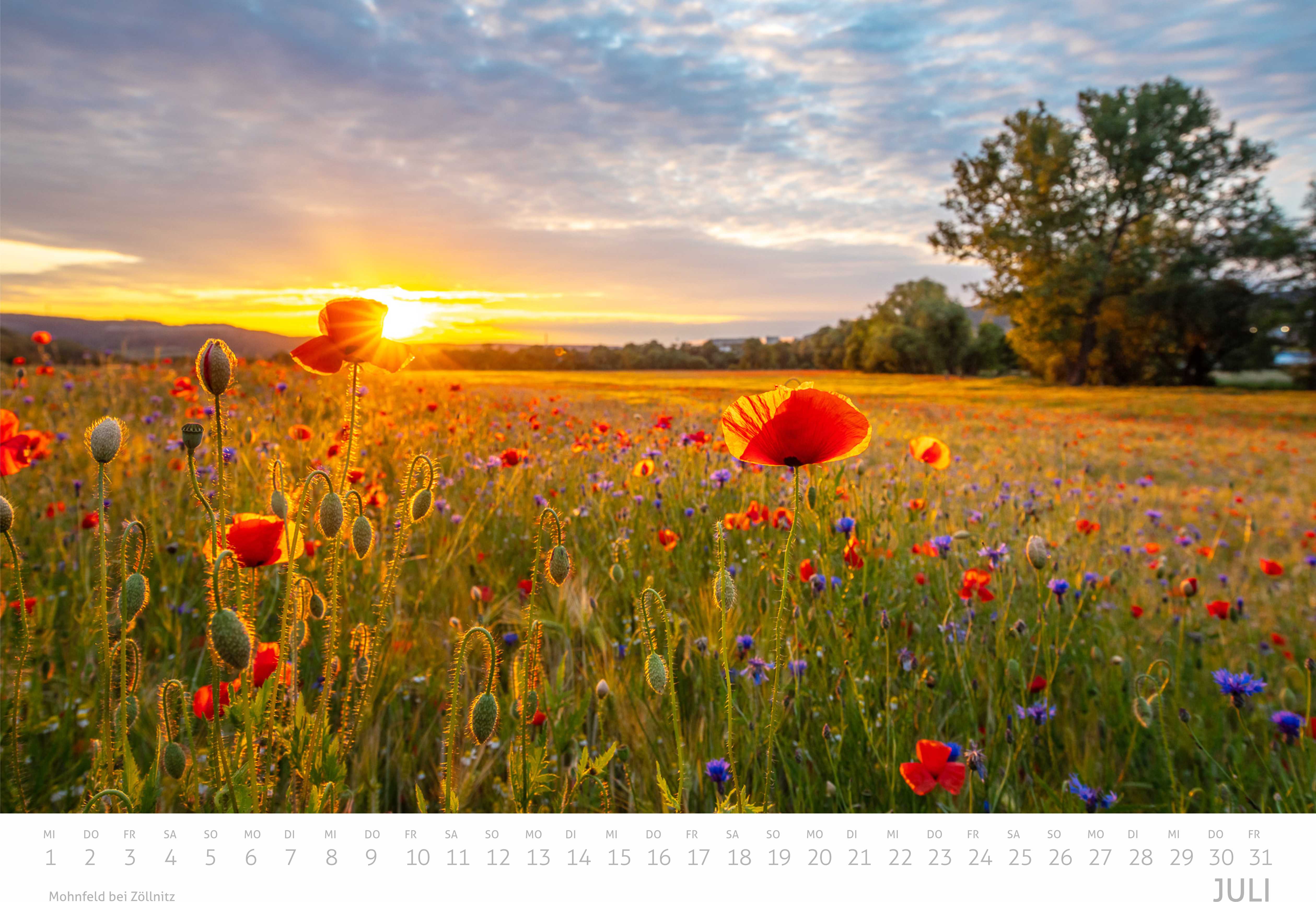Saaleland Jena Wand-Kalender 2026 | A3