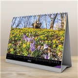 Jena Tischkalender 2023 | A5