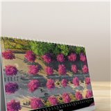 Jena Tischkalender 2023 | A5