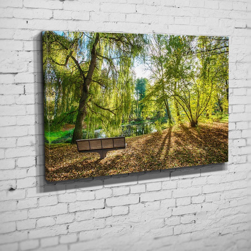 Paradiesbank am Teich beim Glashaus-Jena