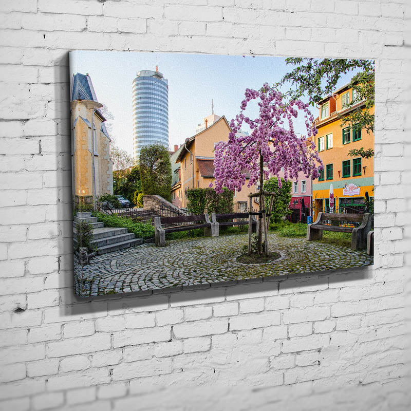Blütenpracht in der Wagnergasse (BNr 204)-Jena