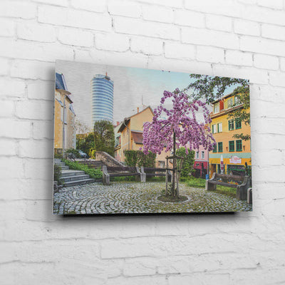 Blütenpracht in der Wagnergasse (BNr 204)-Jena