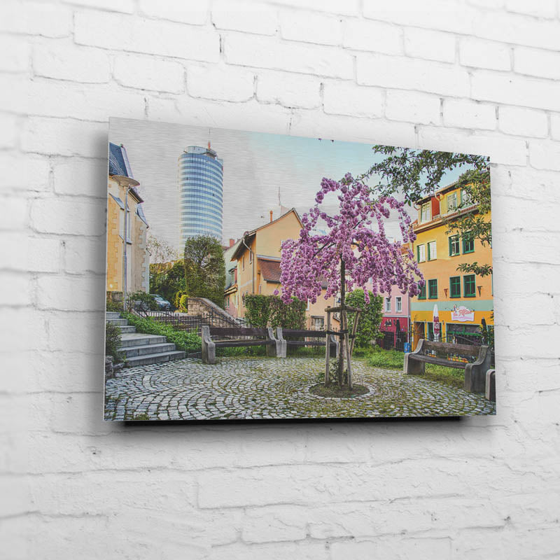 Blütenpracht in der Wagnergasse (BNr 204)-Jena