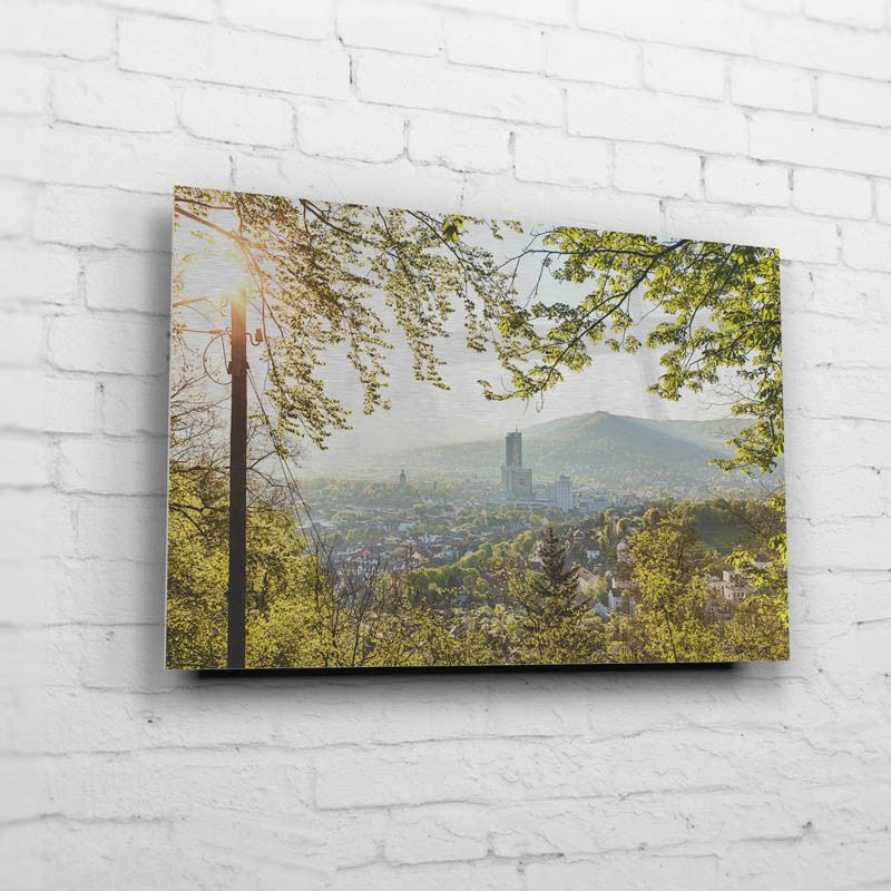 Frühlingstadt vom Bismarkturm aus (BNR 211)-Jena