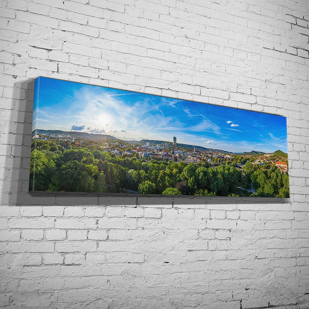 Panorama aus der Oberaue mit der Jenaer Skyline (BNR 608)
