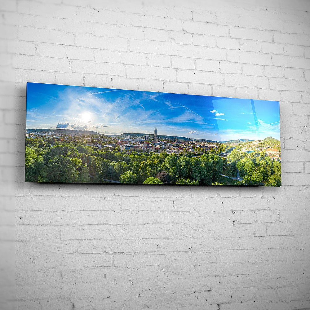 Panorama aus der Oberaue mit der Jenaer Skyline (BNR 608)