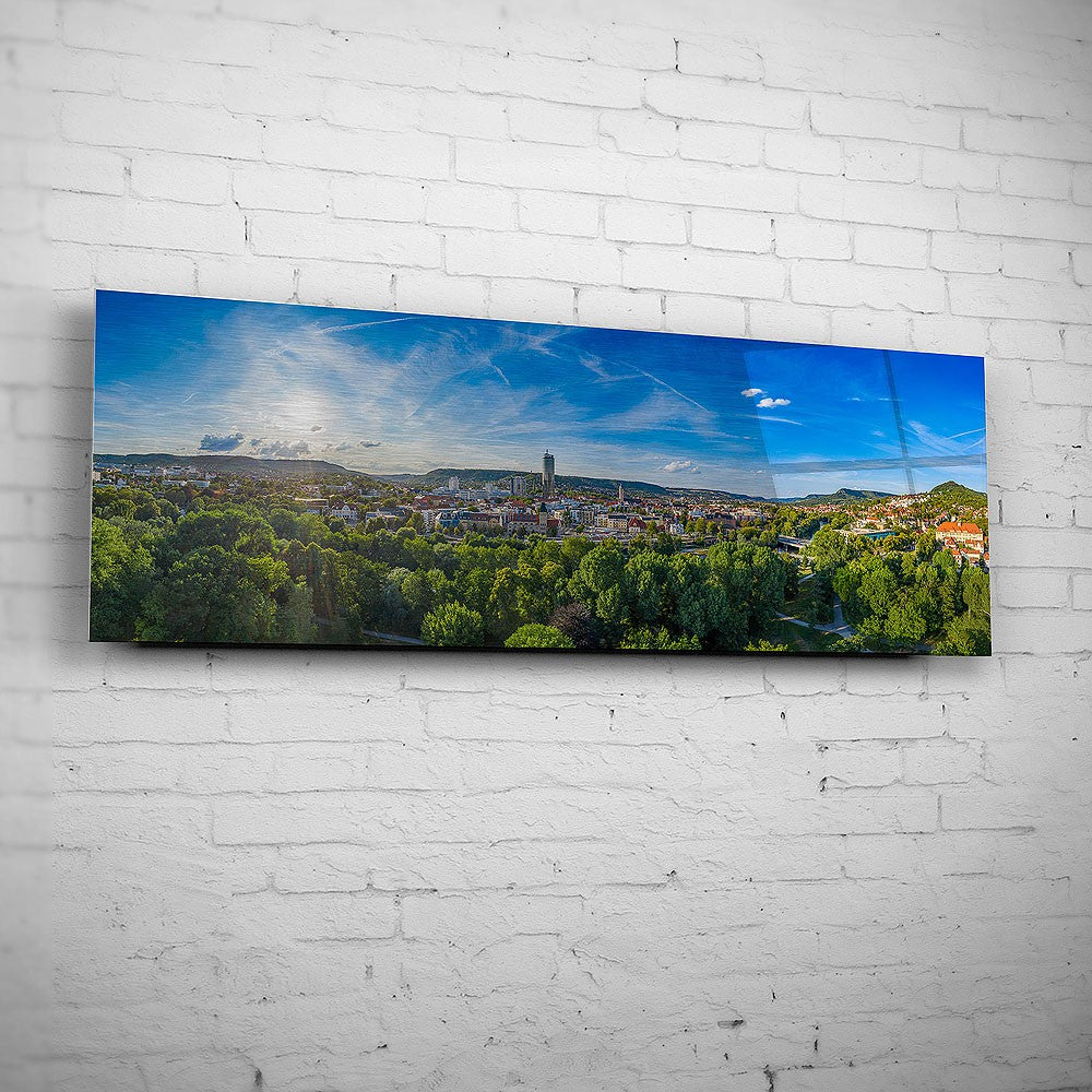 Panorama aus der Oberaue mit der Jenaer Skyline (BNR 608)