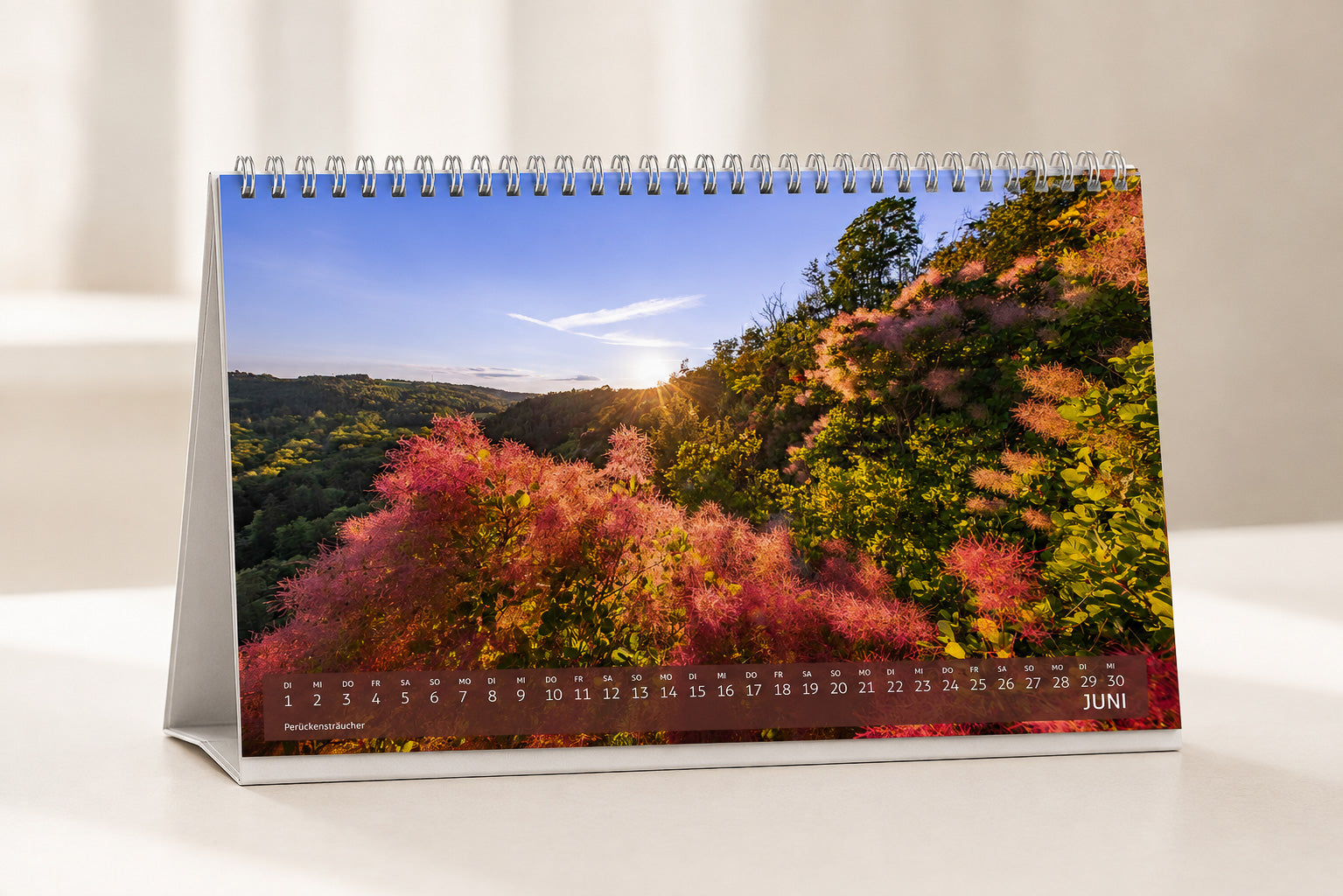Jena Tischkalender 2027 | A5