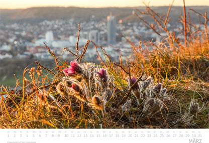 Saaleland Jena Wand-Kalender 2026 | A3