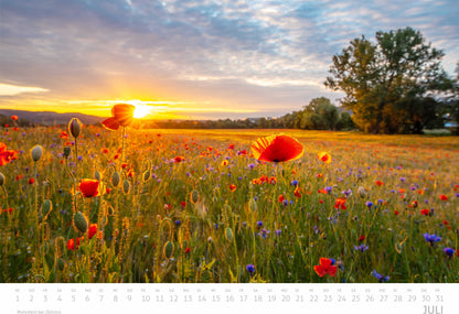 Saaleland Jena Wand-Kalender 2026 | A3